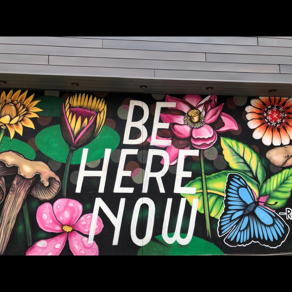 Meet your Posher, Colleen